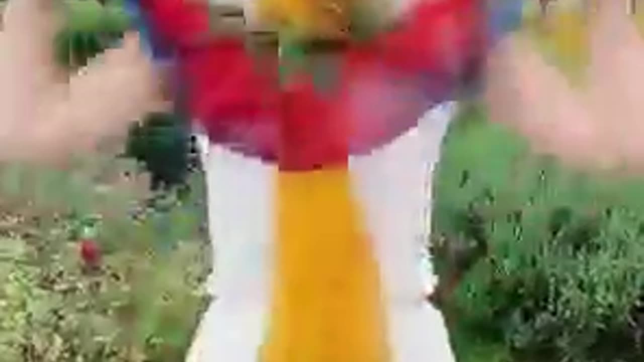 Amazing Dress tricks