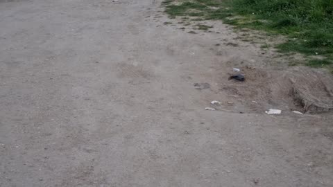 Children playing football in the neighborhood