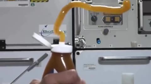 Honey in space