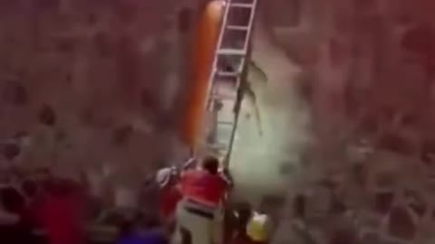 Are they really rescuers?