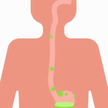 Chia Seeds Supporting Digestive Health for a Happy Gut