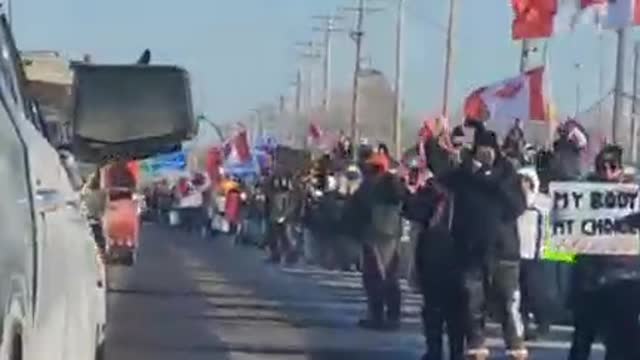 🇨🇦 Crowd cheering on the freedom trucker convoy in Winnipeg, Manitoba, Canada as it makes it’s way to Ottawa to protest mandates and restrictions in the country.