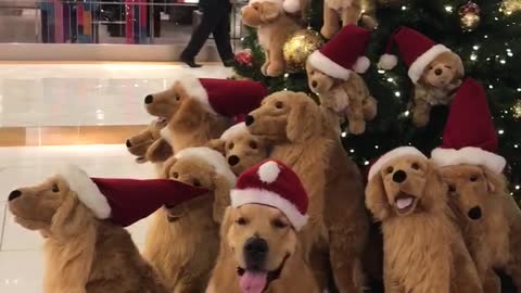Christmas Tree Full of Doggos