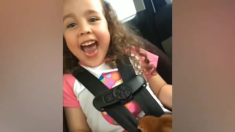 funny videos, human and animals