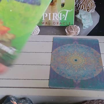 What Spirit Animals Are With You Today? #shorts