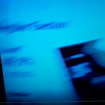 INTERNATIONAL WIDE ELECTION FRAUD VOTING MACHINE CRIME, GEORGIA RUNOFF SHAM ELECTION CRIME 111