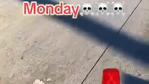 “美國人民的覺醒”厭倦與憤怒司法不公繼卡車司機後，航運公司也開始停止向紐約市送貨！”（人民拿回權利最好的方法，“不合作與不再為你服務”_“亞特拉斯聳聳肩”的絕妙智慧 二）