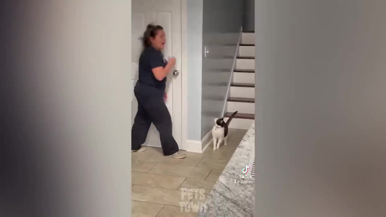 Barking at your dog challenge