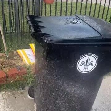 This is actually a genius business idea