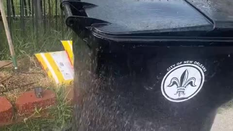 This is actually a genius business idea