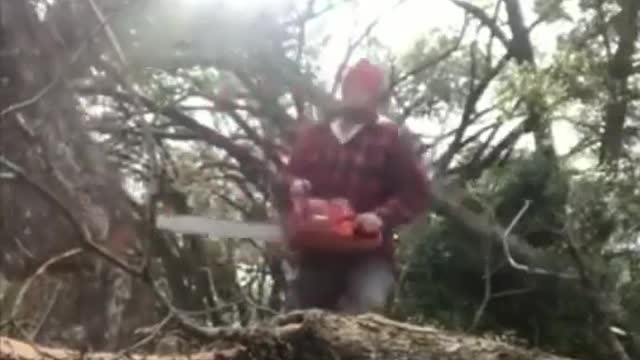 Perfect revenge by tree
