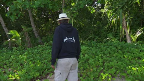 Robinson S19E34