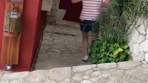 ΜΕΞΙΚΟ-ΔΕΙΤΕ