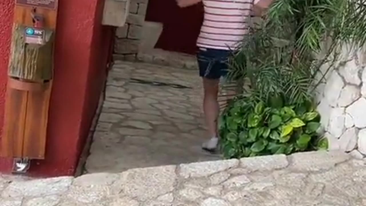 ΜΕΞΙΚΟ-ΔΕΙΤΕ