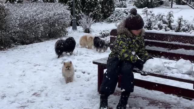 A boy playing in the snow. 😍😍😍