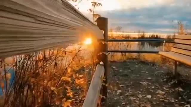 Deciduous lake sunset