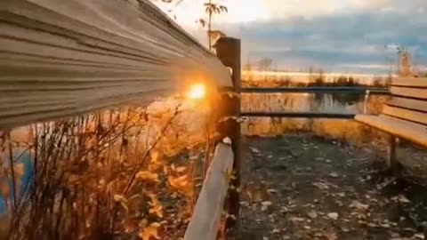 Deciduous lake sunset