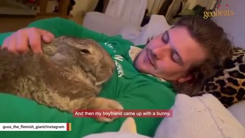 Woman accuses her bunny of acting like a dog_Cut