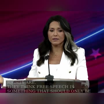 Tulsi Gabbard CPAC Speech - Too many of our leaders are not committed to the Constitution