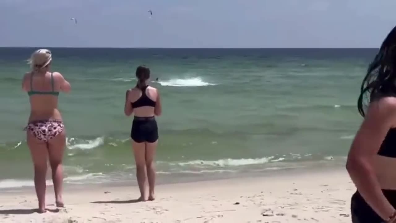 Shark Spotted In Shallow Waters At Perdido Key Beach, FL