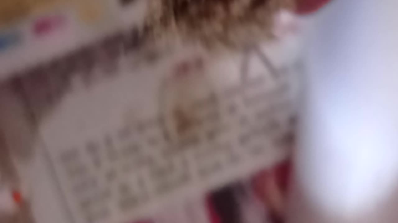 Baby bird
