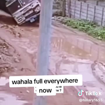 Funny driver