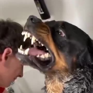 Watch till the end🤣😂