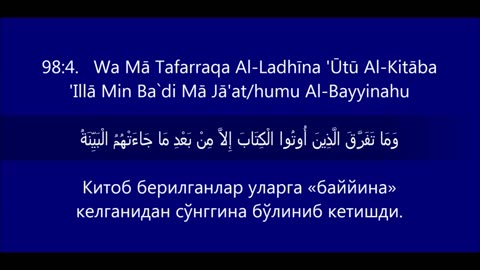 Quran Special Status Video, Quran Islamic Status Video, Holy Quran Lines Whatsapp Status Video,_35