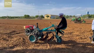 Voces del Sur: Cooperación agrícola entre China y Brasil