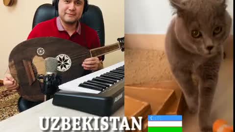 A musical masterpiece of today's cutest cat