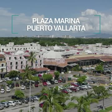 Ayuda a los centros de rescate animal locales