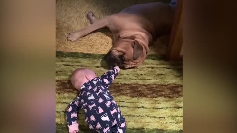 Funniest Baby Videos of the Week - Try Not To Laugh