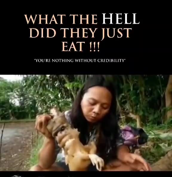 NEWS Break: WTH is that?