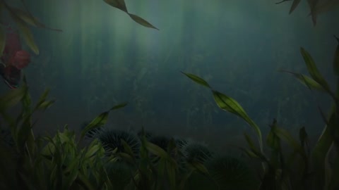 fish