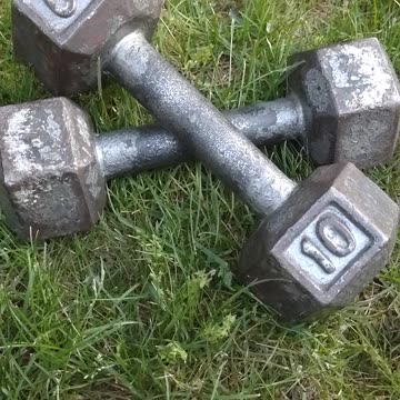 1 min Shorts - THE SECRET OF LIFE… I think… (Satire?)