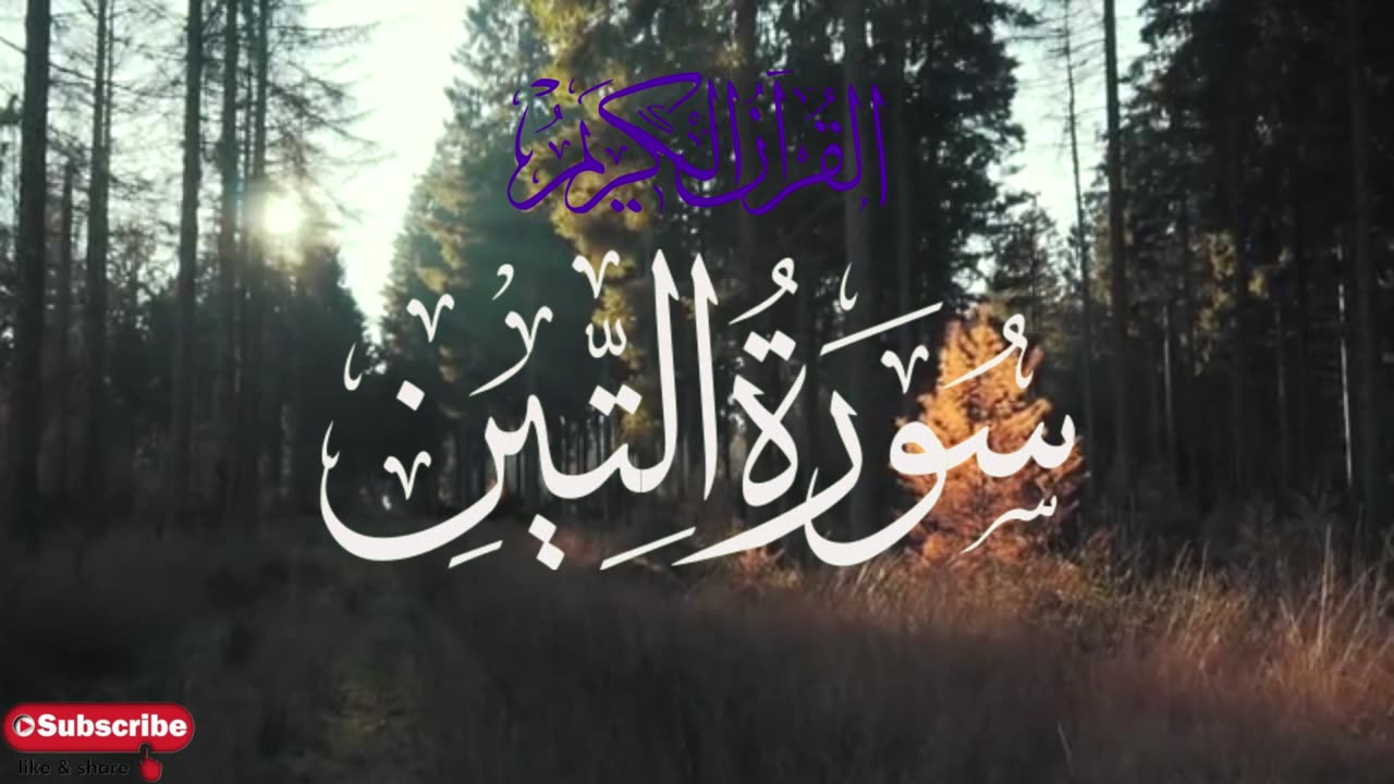 Surah At-Tin (The Fig) _ سورة التين _ Beautiful Recitation _ #Salimbahanan #Quran__Salim Bahanan