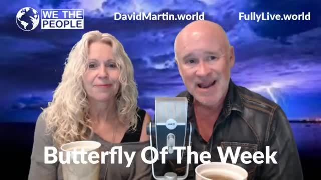 Dr. David Martin - Butterfly of the Week