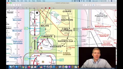 382 How To Remove Heavy Water (Deuterium) From Mitochondria