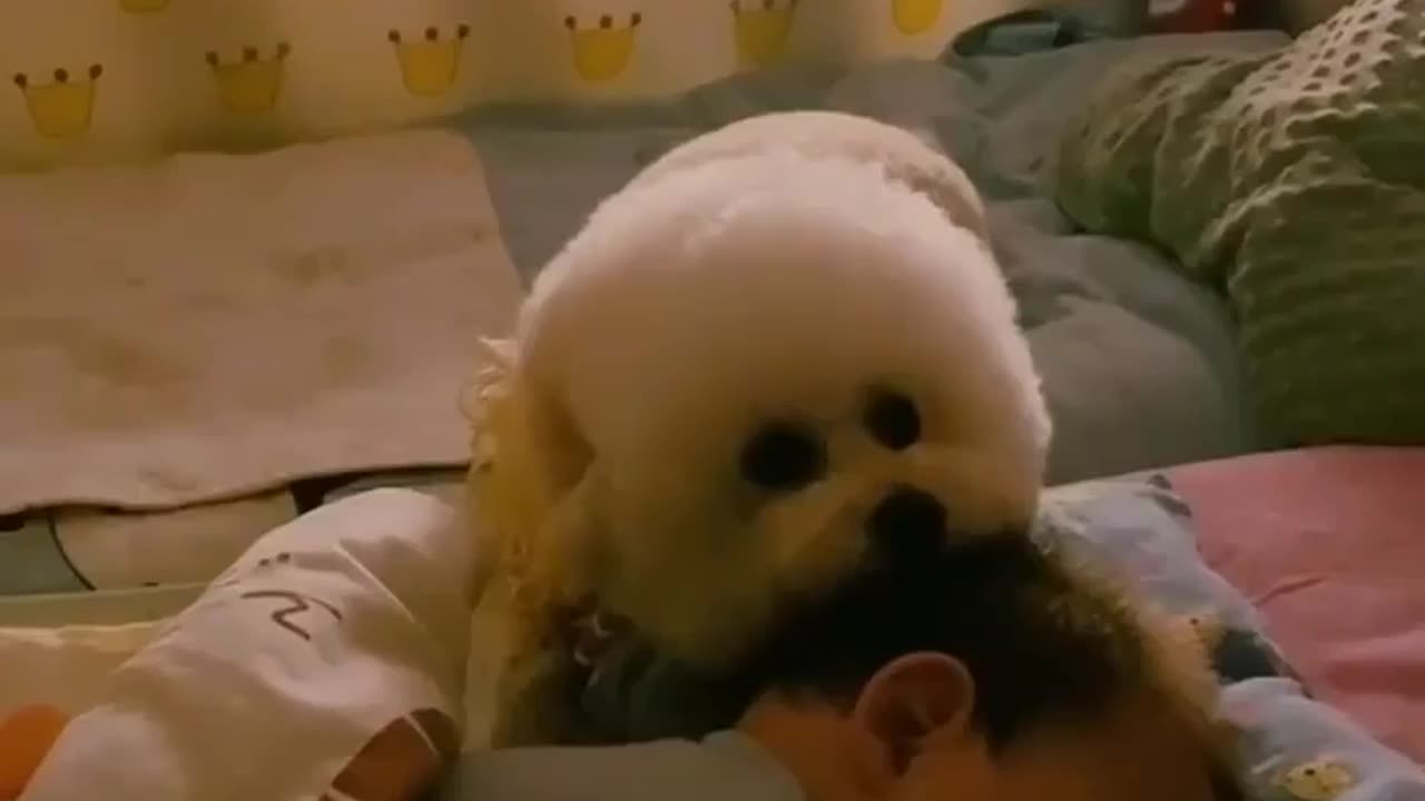 Pet takes care of sleeping baby