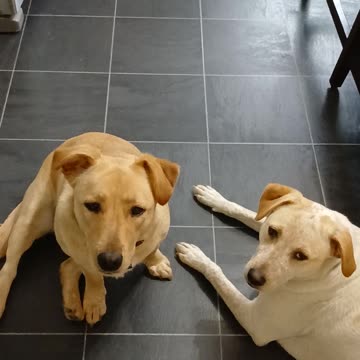 Do you feel like youre being watched?