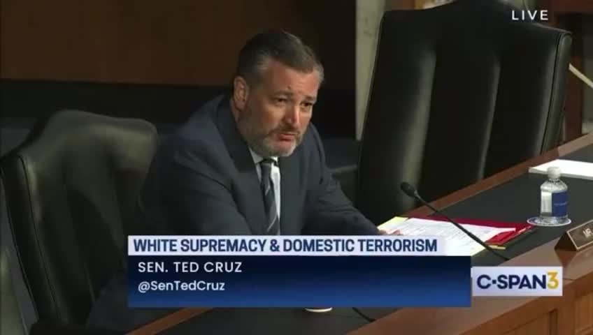 Sen Cruz Exposes The Violent Far Left That Democrats Ignore