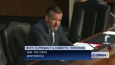 Sen Cruz Exposes The Violent Far Left That Democrats Ignore