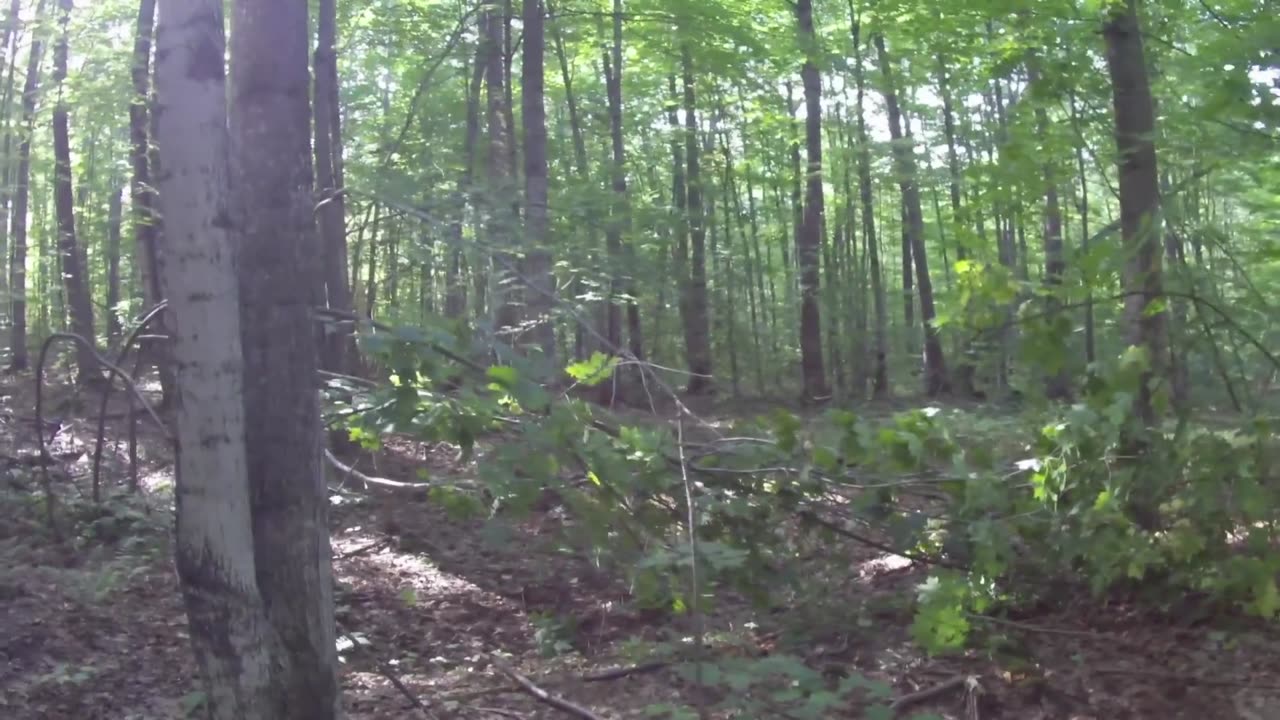 September Quick Scouting & Spot #1 Stick & Saddle Set Up