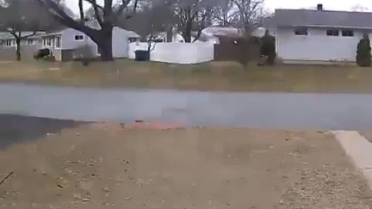 What's with this dog