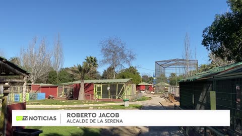 LA SERENA BUSCARÁ ORGANIZACIONES PARA DONAR ANIMALES DEL PARQUE PEDRO DE VALDIVIA
