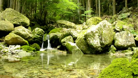 Nature Sounds - A Small Babbling Brook