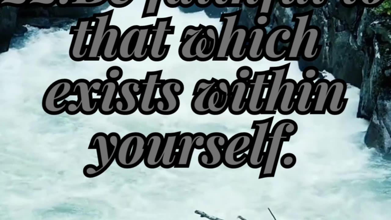 21-24.Enlightening Snippets: Quotes That Illuminate the Path in Second Bites!#ENJOY!
