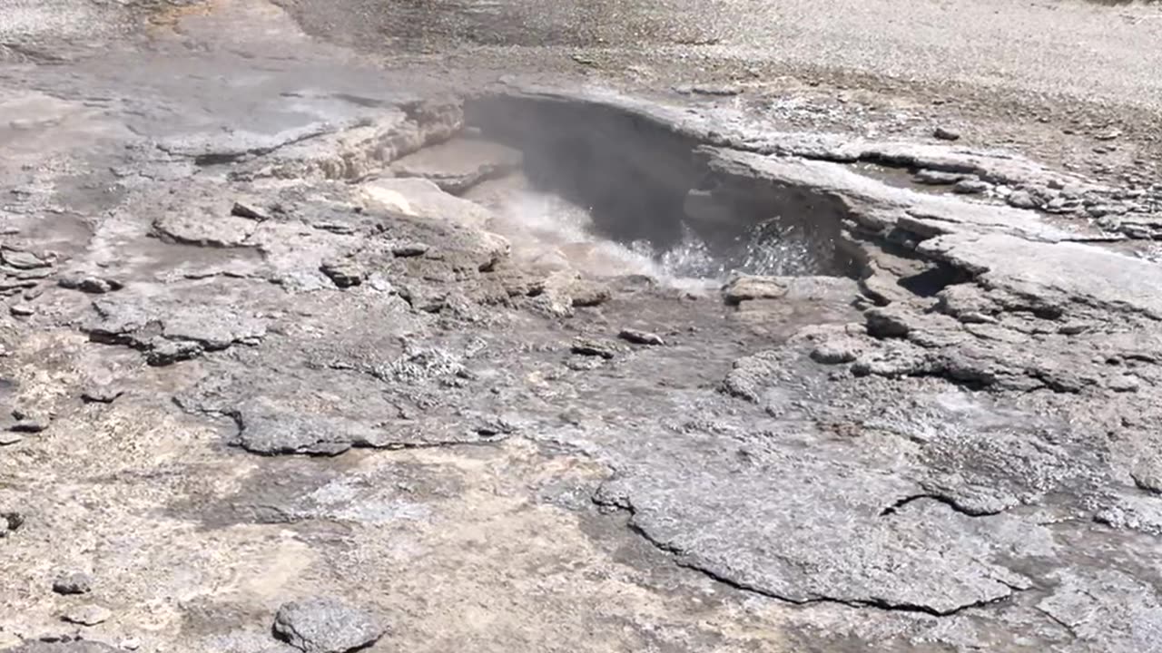 Bears Run Across Yellowstone Landscape