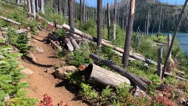 Central Oregon - Mount Jefferson Wilderness - Canyon Creek Meadows + Wasco Lake - FULL - PART 2/3