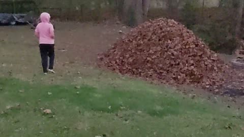 Epic leaf pile!